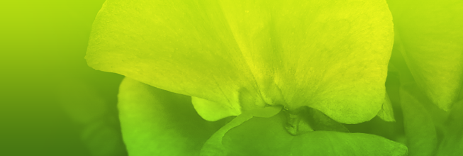 在线DDOS压力测试网页端